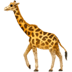 :giraffe: