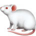 :mouse2: